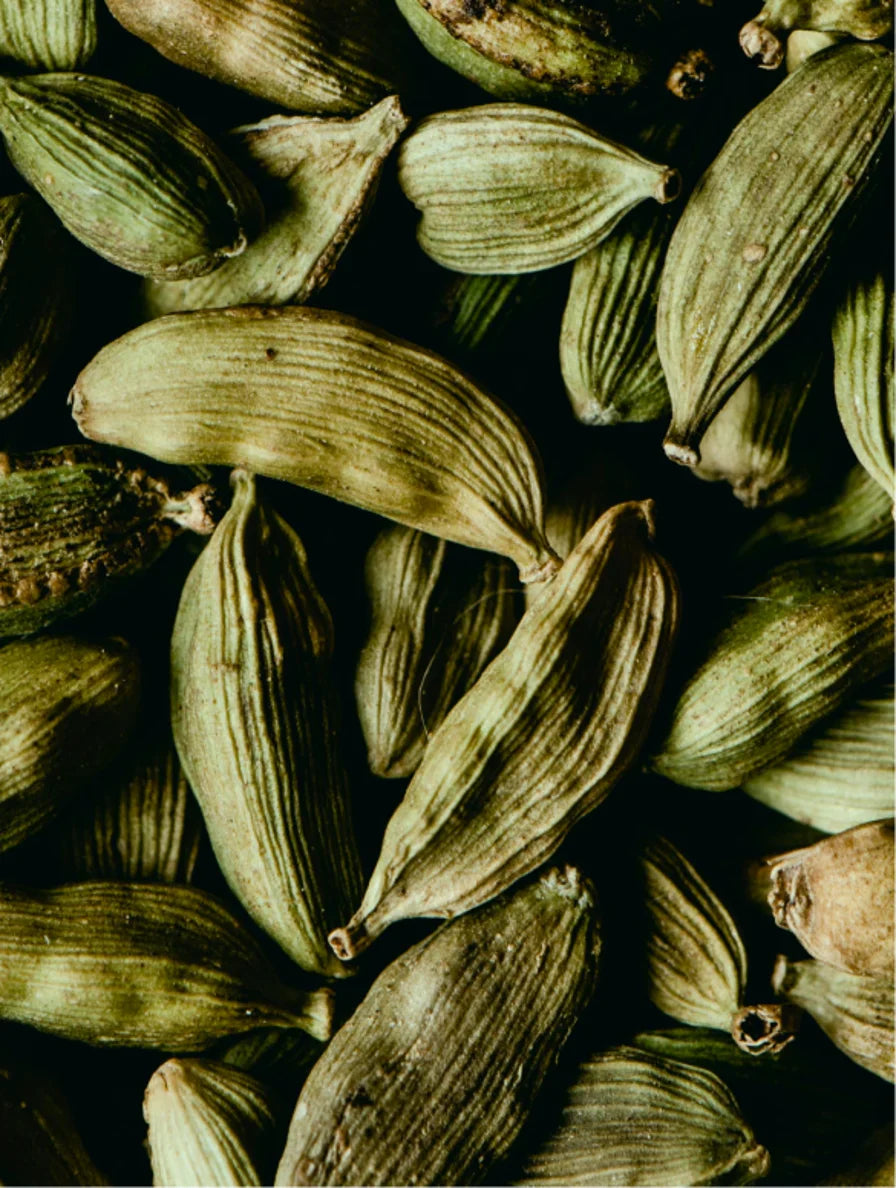 Hand & Body Wash – Ingwer & Rauchiger Kardamom