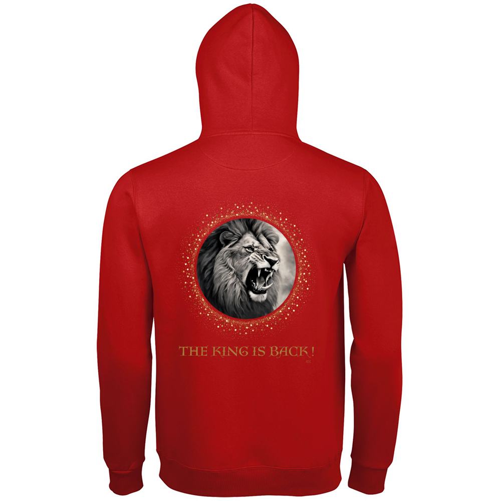 Men's Premium Hoodie New The Lion King RDG