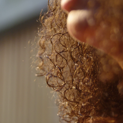 NEU! complete care 003 | Pflegeöl für Gesicht, Körper, Haar | sanft mit Jojoba + Immortelle